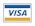 Visa Card Logo